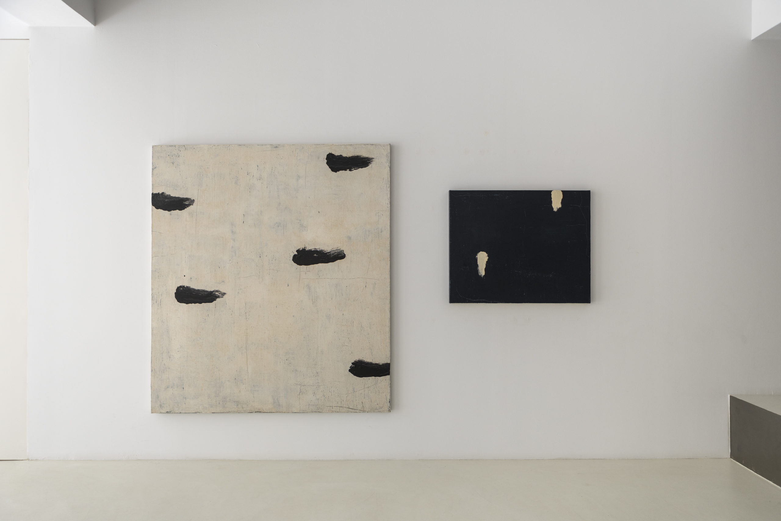AlzuetaGallery_EnrichR_R3A9653